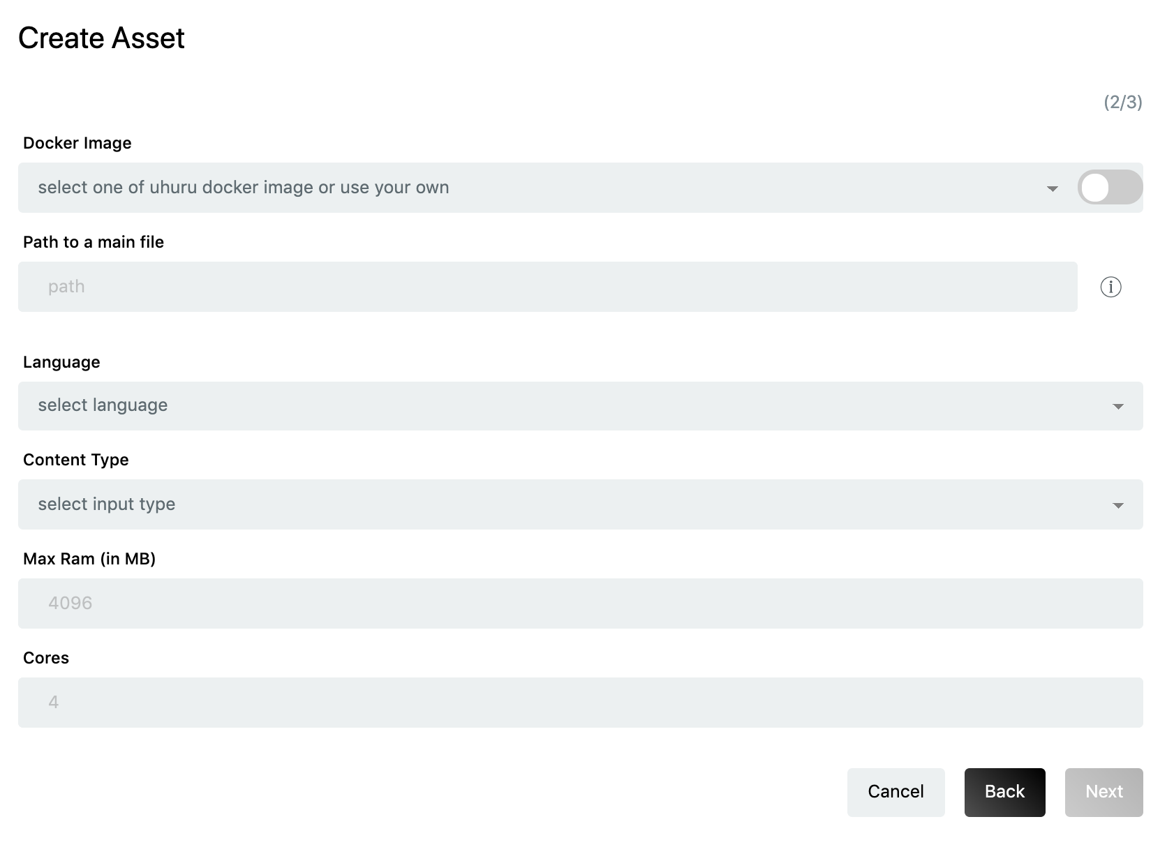 Model execution env details